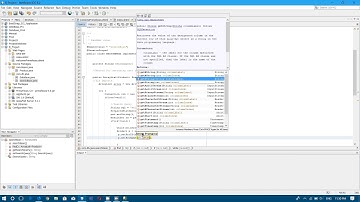 View Data from database with java server faces (jsf 2.2) and primefaces