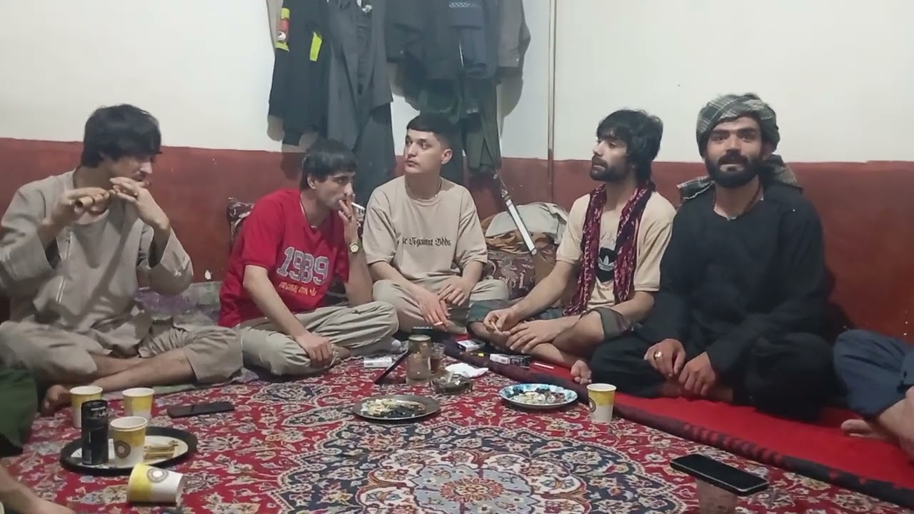 توله پرویز شوقی