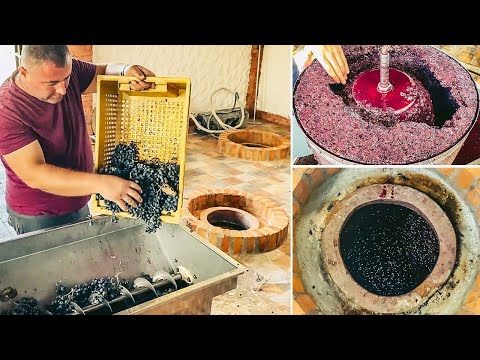 How to Make Wine in Qvevri | Red Wine Making Process