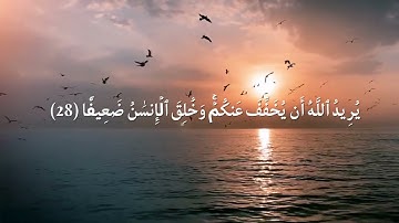 ( والله يريد ان يتوب عليكم ) سورة النساء | القارئ مؤيد مزين