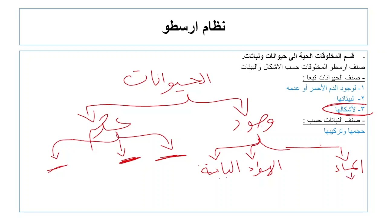 تاريخ التصنيف - احياء 1 مقررات - مهم جددددا