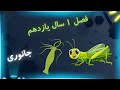 آموزش زیست شناسی سال یازدهم فصل اول بخش جانوری