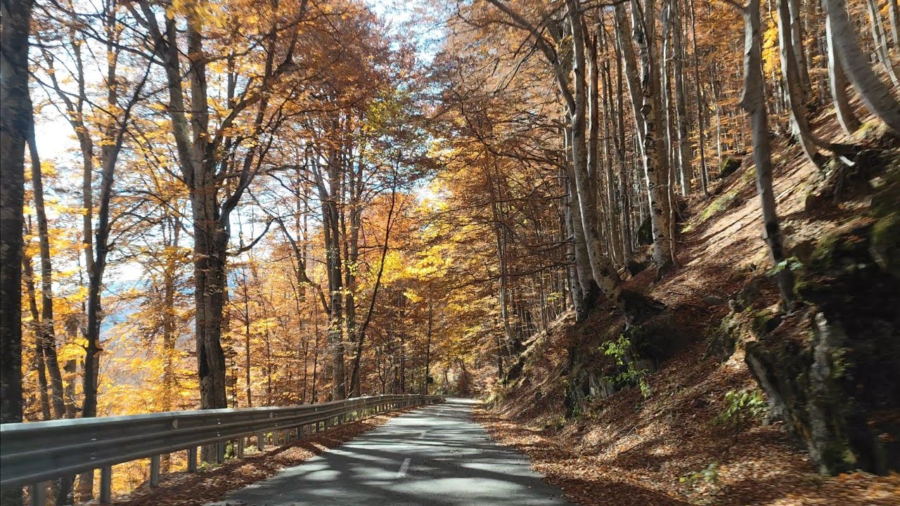 Cabana Muntele Roșu - Cheia, Prahova - 29 octombrie 2025