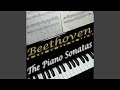 Miniature de la vidéo de la chanson Piano Sonata No. 14 In C-Sharp Minor, Op. 27 No. 2 "Moonlight": Ii. Allegretto