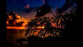 【Happy BGM】MAGIC! - Rude (Dj Dark  Dj Vianu Remix) screenshot 4