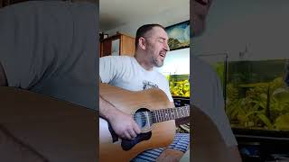 Shine On You Crazy Diamond - David Gilmour (acoustic cover)