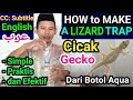 JEBAKAN CICAK PALING AMPUH | Perangkap Cicak Sederhana | Menangkap | Jebak Cicak dari Botol & Lakban