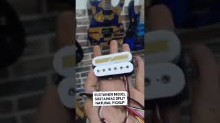 Sustainer Model Sustainiac Split Natural Pickup White Gold Veyz Sustainer