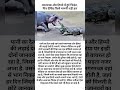 मगरमच्छ और हिप्पो में हुई भिड़ंत, फिर देखिए किसे माननी पड़ी हार
