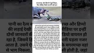 मगरमच्छ और हिप्पो में हुई भिड़ंत, फिर देखिए किसे माननी पड़ी हार