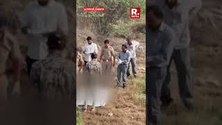 Lion Kills 25-Year-Old Restaurant Worker in Gujarat’s Amreli