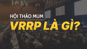 [Hội thảo MUM] VRRP là gì? Hướng dẫn thiết lập VRRP