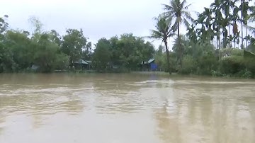 Tin Tức 24h: Mưa lũ làm 5 người chết, mất tích ở Quảng Ngãi