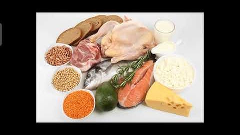 Food: Our Basic Need| Chapter 6| Science| Class IV| Part 1| CBSE