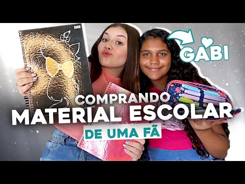 Comprei MATERIAL ESCOLAR para uma Fã do Canal!