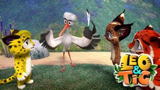 Leo and Tig  New cartoons for children  Funny Family Good Animated Cartoon for Kids