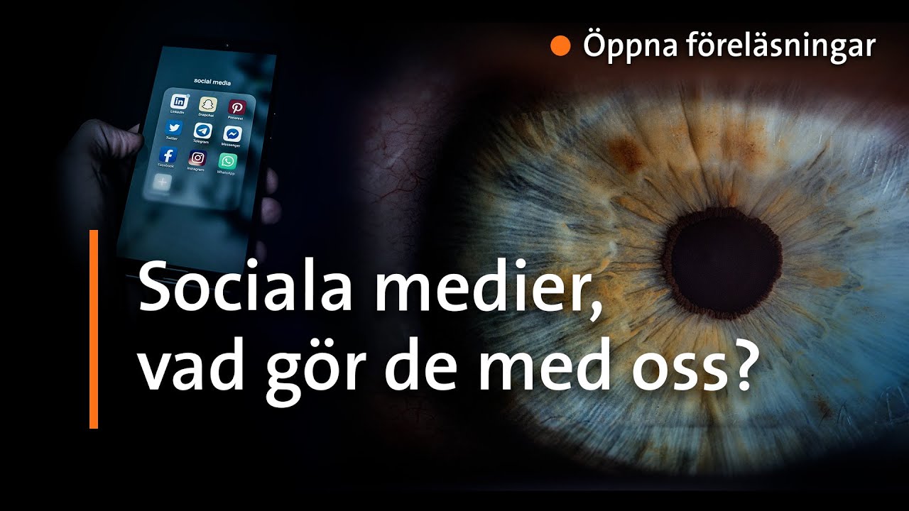 Sociala medier och de starka känslornas kultur | Anja Hirdman