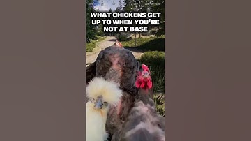 Rust Memes - #Rust #PlayRust #RustGame #RustMemes