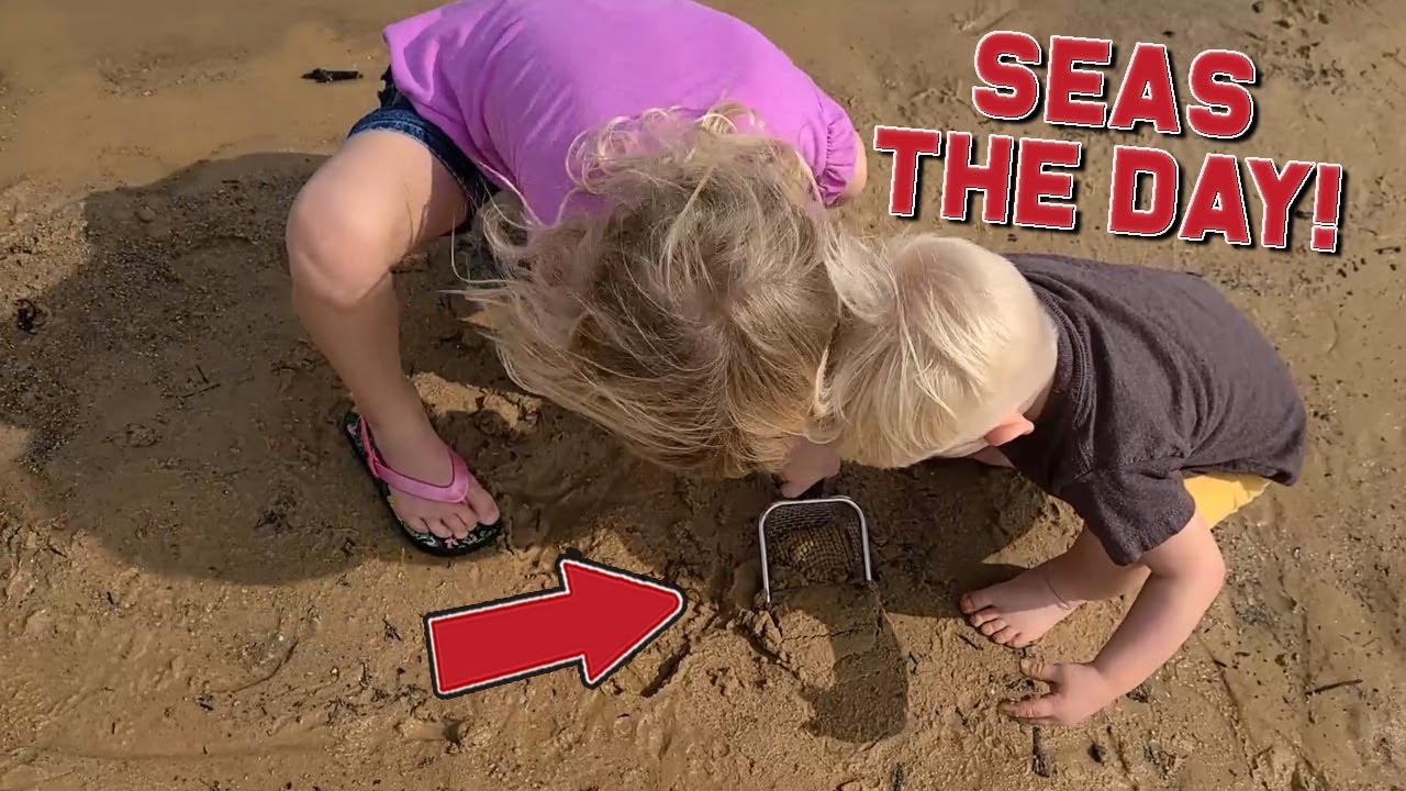 Review of Beach Mesh Shovel with Mesh Beach Bag for Shell Collecting