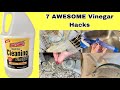 7 AWESOME Vinegar Life Hacks You Should Know!! Stephanie McQueen