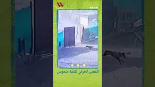 المعنى الحرفي لكلمة منحوس