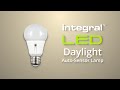 Integral led daylight auto sensor lamp