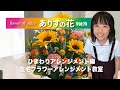 『ありすの花vol,75』ひまわりアレンジメント編