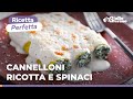 CANNELLONI RICOTTA e SPINACI, un must della cucina italiana! Ricetta originale!