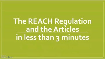 The EU REACH Regulation and the Articles