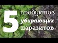 5 Продуктов, которые убьют ПАРАЗИТОВ навсегда!