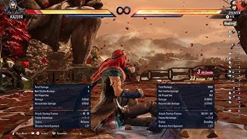 Tekken 8  Shaheen Ws3 Loops