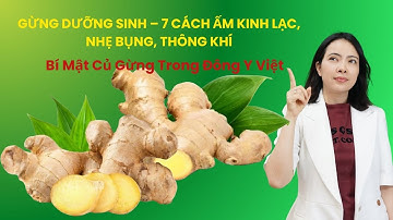 TÁC DỤNG GỪNG TRONG DƯỠNG SINH – 7 CÁCH ẤM KINH LẠC, NHẸ BỤNG, THÔNG KHÍ| Đỗ Ngọc Diệp