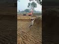 exercise video and clip very good exercise video songs songs status video WhatsApp status #funny