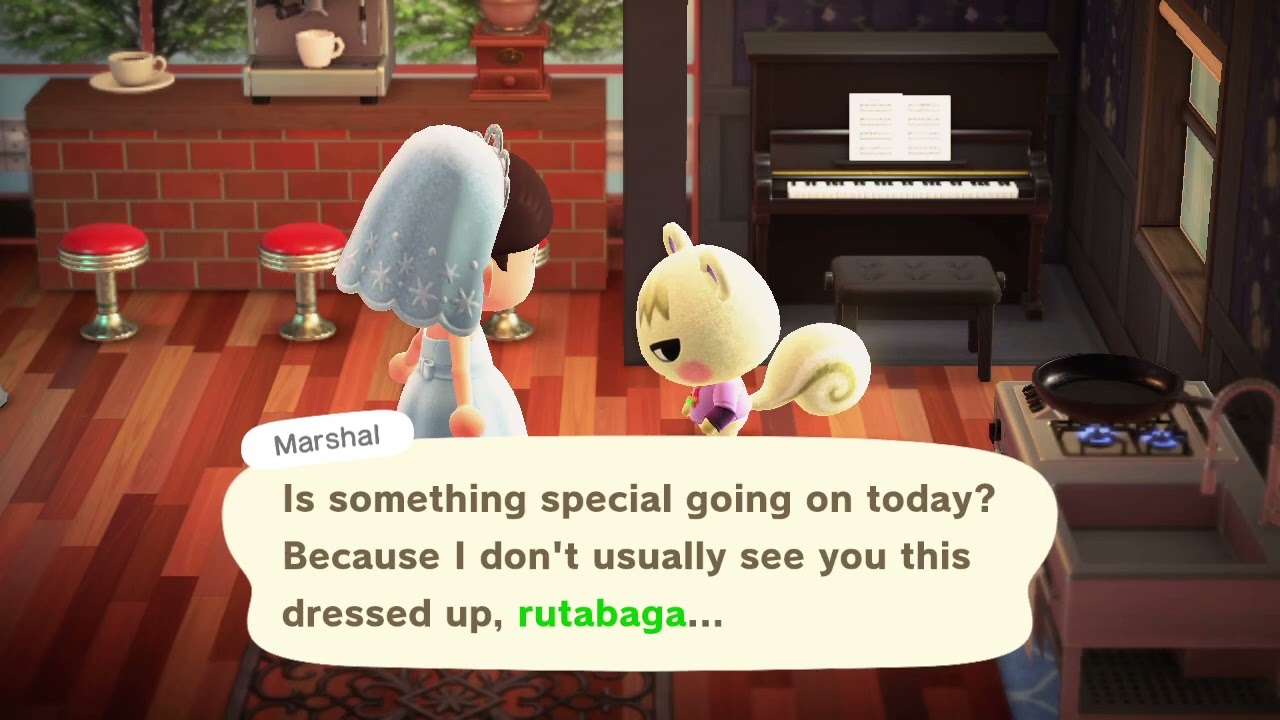 Animal Crossing New Horizons: Marshal talks about my wedding dress