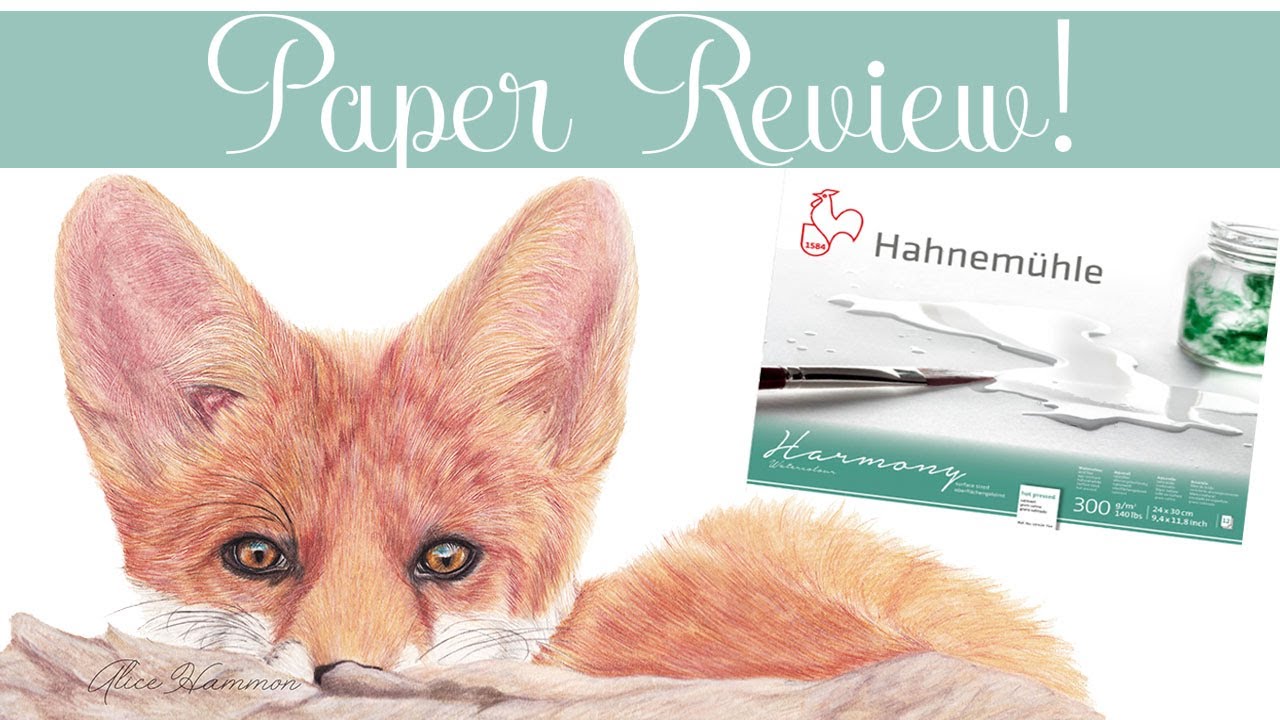 Hahnemuhle Harmony P Watercolor Paper Review // First Impression Friday YouTube