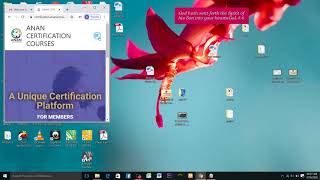 ANAN CERTIFICATION PLATFORM TOUR