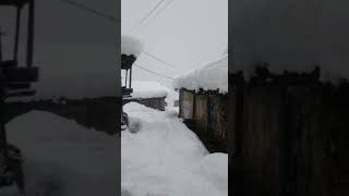 Nevada en Asturias - enero 2021