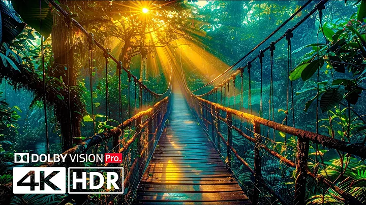 Dolby Vision in 10 Bit - 4K Video HDR 60FPS ULTRA HD