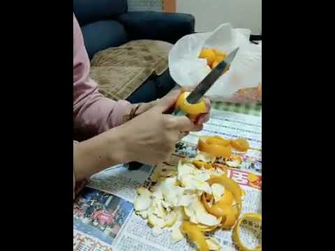 專業削柳丁