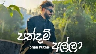 Pandam alla (පන්දම් අල්ලා)-Shan putha ×dimi3  music vedio -දුප්පත් අපි රජවරු මේ කාලේ Sanduwa