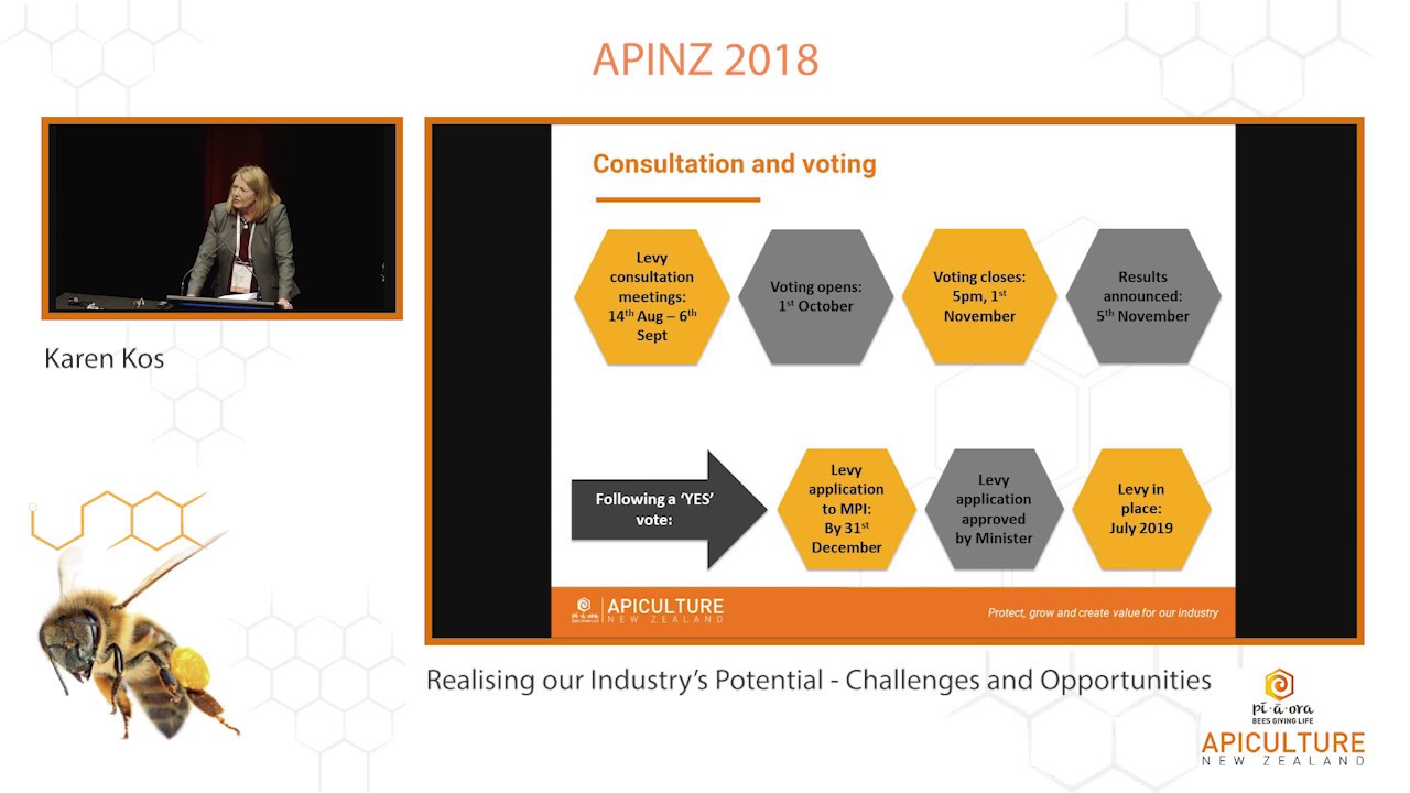 Karin Kos - Realising our Industry potential