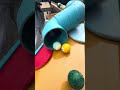 マーブルラン marble run マーブル界最強キャサリンと夏の楽しいひと時⑦