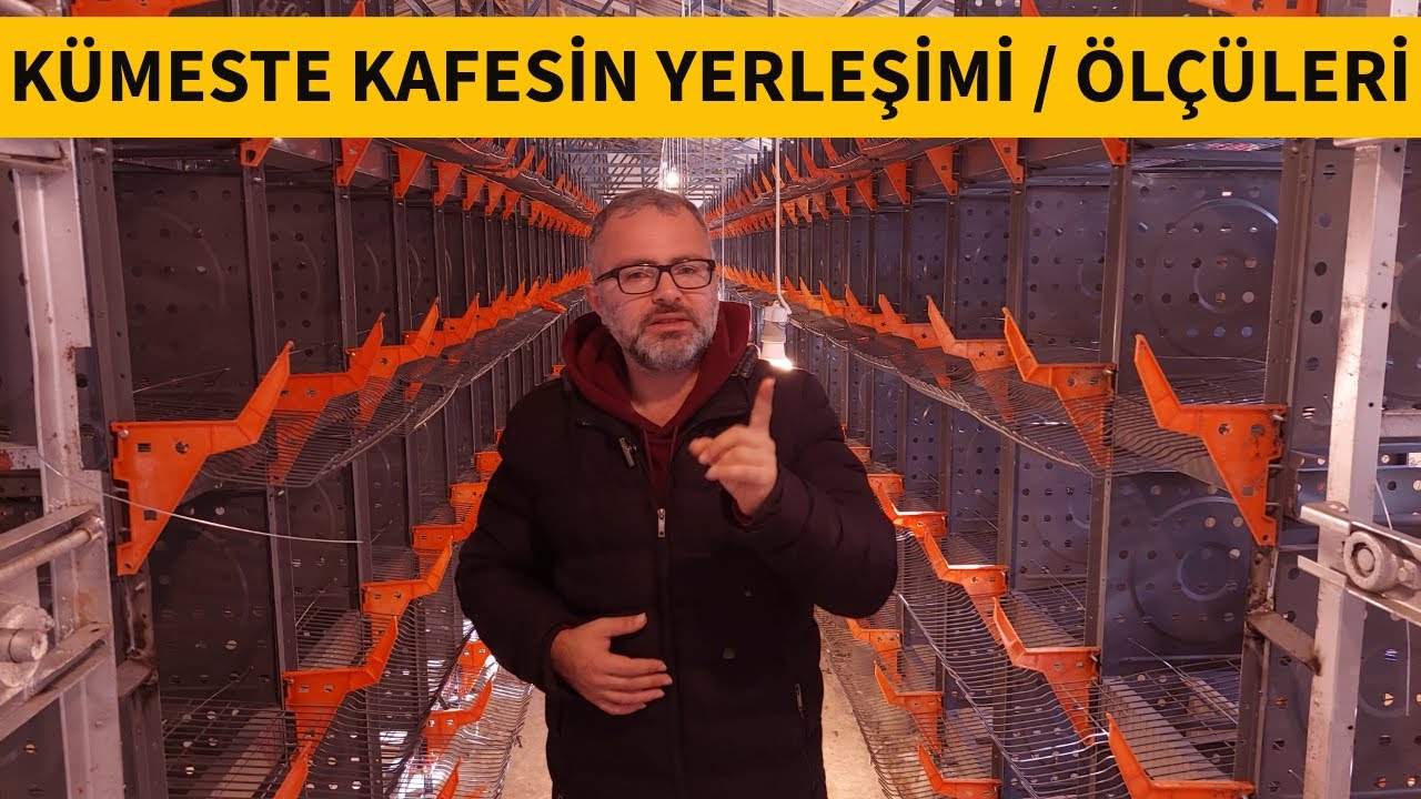 SIFIRDAN TAVUK ÇİFTLİĞİ KURMAK | YASAL İZİNLER PROSEDÜRLER VE TÜM DETAYLAR !