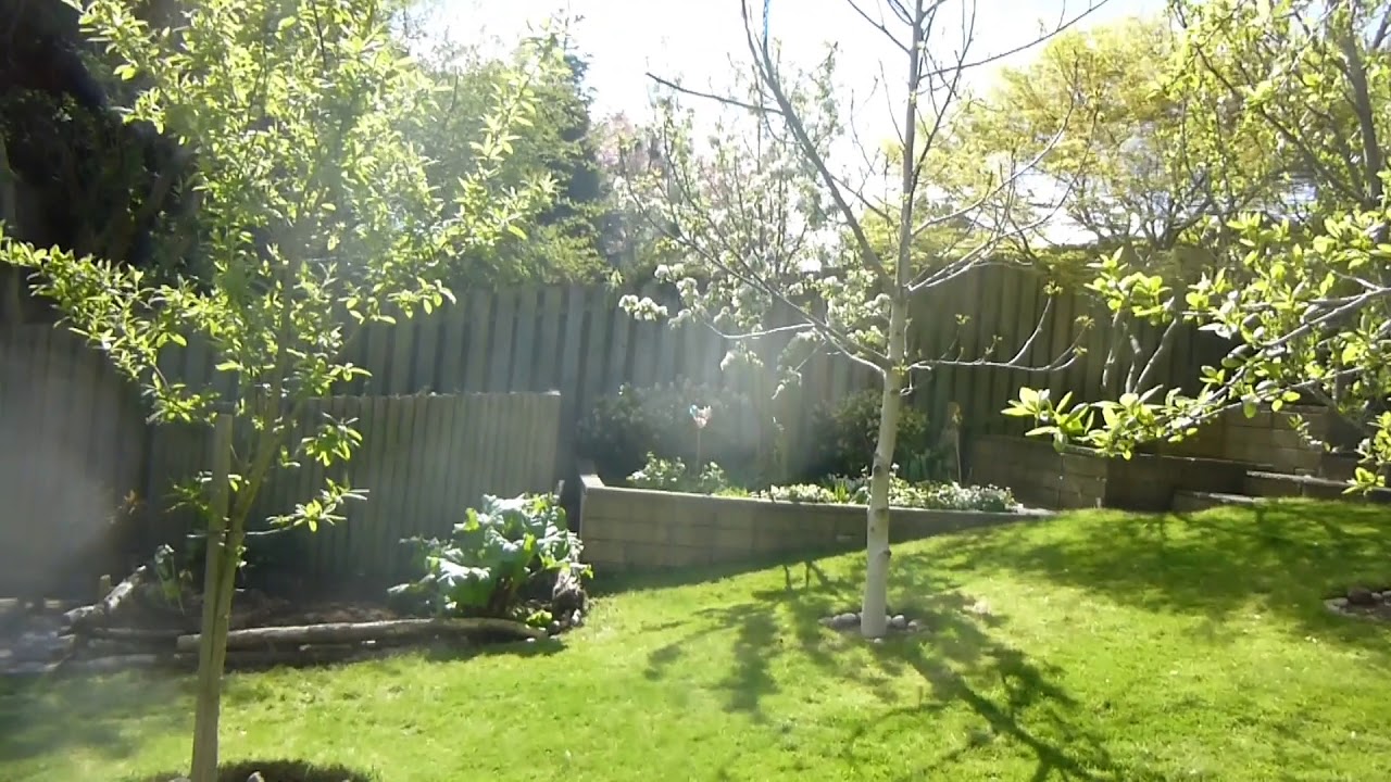 101 Greenbank Crescent, Edinburgh on 27 April YouTube