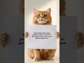 🐱📄 Diyet Manifestosu Kararlı Kedi Konuşuyor! 💪🥗 #cat #kedivideosu #cute ...