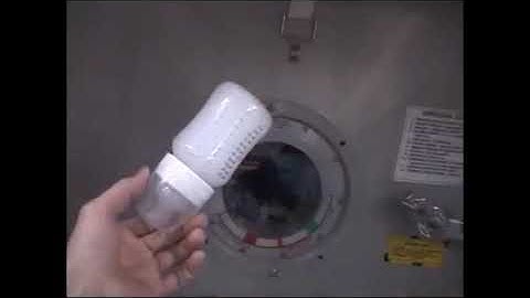 Rotating bodies in microgravity and cat flip!!!