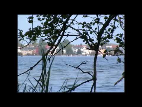 Iron Curtis \u0026 Johannes Albert - Nektar feat. Lisa Toh (Ed Davenport Dub)
