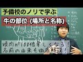 牛の部位を徹底解説！焼肉やステーキをさらに楽しむために