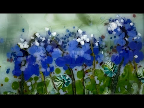 Video: Berapa lama musim bluebonnet?