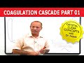 Coagulation Cascade - Part 1/12